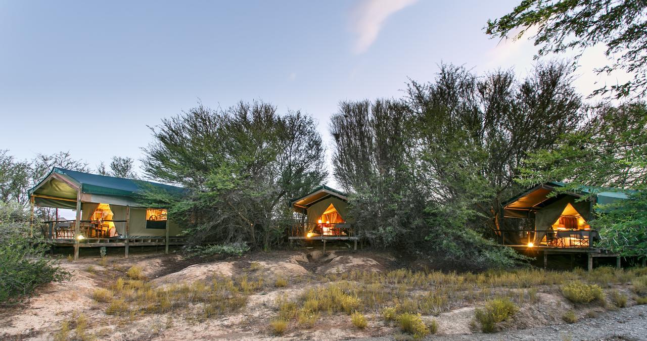 Chandelier Game Lodge 奥茨胡恩 外观 照片